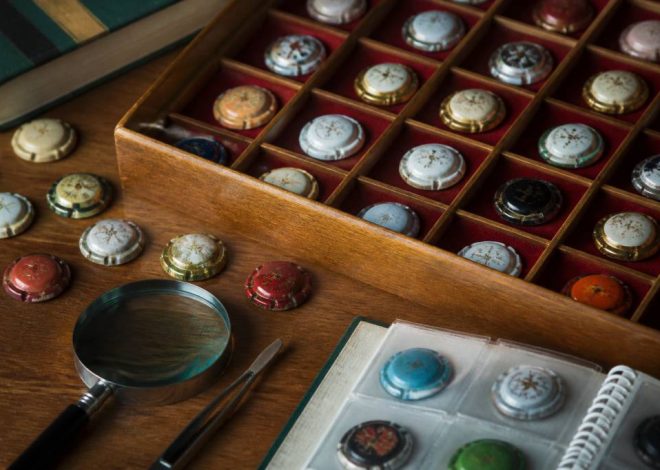 Collectionner les capsules de champagne : guide pratique pour débuter et enrichir sa collection